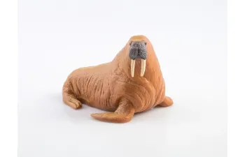 Дикие животные России № 21: Морж