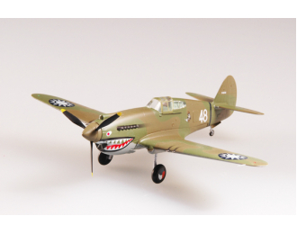 Curtiss P-40B Warhawk AVG Flying Tigers 2nd Sqn White 48 China