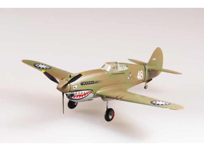 Curtiss P-40B Warhawk AVG Flying Tigers 2nd Sqn White 48 China