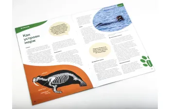 Дикие животные России № 21: Морж