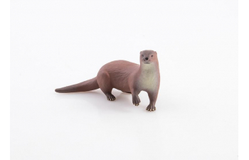 Дикие животные России № 13: Выдра (только вложение)