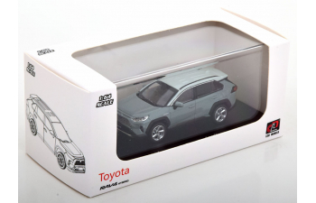 TOYOTA RAV4 Hybrid, grey / light-grey