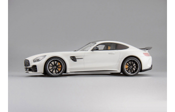 Mercedes-AMG GT-R (white)