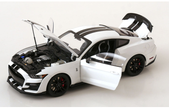 FORD Mustang Shelby GT 500, white black