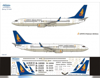 Декаль на самолет боенг 737-800 (нanan аirines)