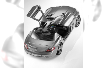 MERCEDES-BENZ SLS AMG C197 (2010), silver iridium