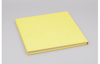 Книга 100 Jahre Zahnradbahn 1884-1984