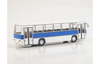 Икарус-260.51, Наши Автобусы 81