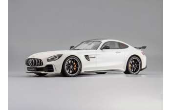 Mercedes-AMG GT-R (white)