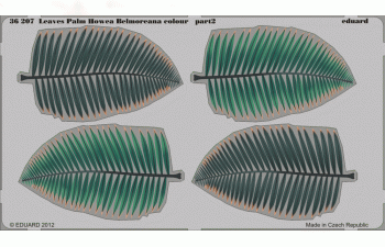 Фототравление для Leaves Palm Howea Belmoreana colour