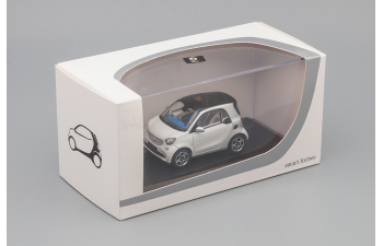 SMART ForTwo Coupe С453 (2014), cool silver / moon white mat