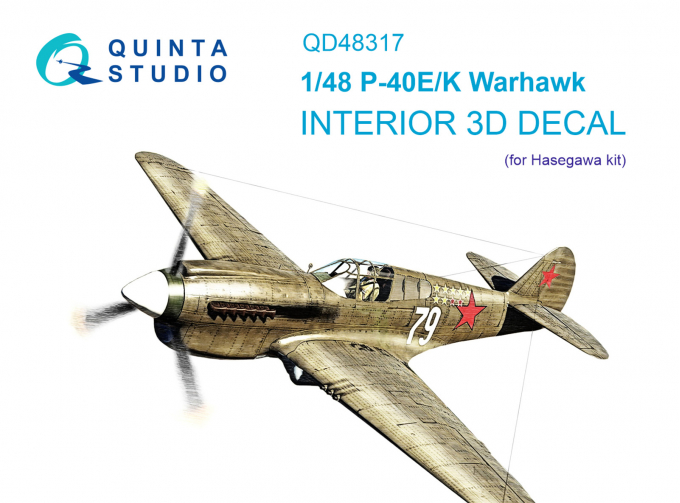 3D Декаль интерьера кабины P-40E/K (Hasegawa)