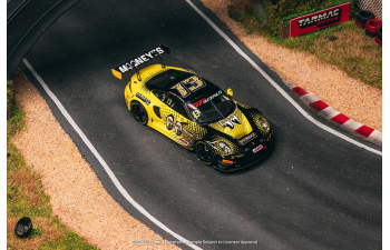 PORSCHE 911 GT3 R №13 Sun Jingzu/Adderly Fong GT World Challenge Asia (2025) Multi color