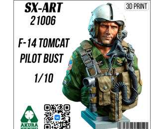 Бюст летчика F-14 Tomcat 