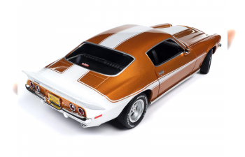 CHEVROLET Camaro Baldwin Motion (1973), brown metallic white