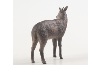 Дикие животные России № 34: Амурский горал (только вложение)