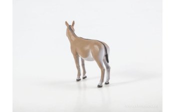 Дикие животные России № 25: Кулан (только вложение)