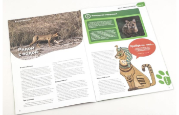 Дикие животные России № 38: Камышовый кот