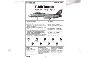 Сборная модель Самолет F-14D