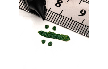 Штампы черепов, набор 1,5 - 2 - 3,5 - 5мм