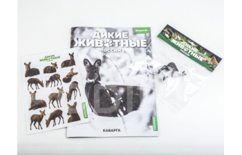 Дикие животные России № 19: Кабарга