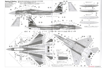 Сборная модель F-15DJ Eagle «20-летие Учебно-тренировочной группы истребителей»