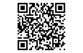 Сборная модель ВАЗ 2101 Милиция