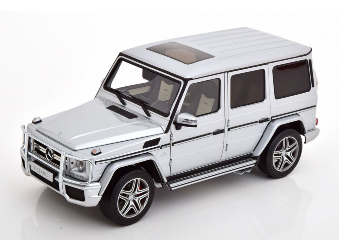 MERCEDES-BENZ G63 AMG W463 (2015), silver