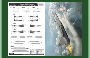 Сборная модель Самолет Russian MiG-31 Foxhound