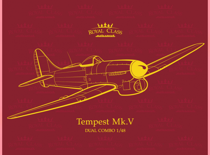 Tempest Mk. V (две модели в наборе)