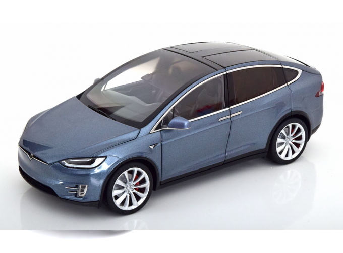 TESLA Model X P100D, grey metallic