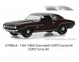 CHEVROLET Camaro COPO Turns 50 1969