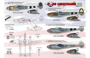 P-38 Lightning Wet decal