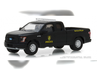 FORD F-150 "Indiana Department Natural Resources Conservation Officer" 2017