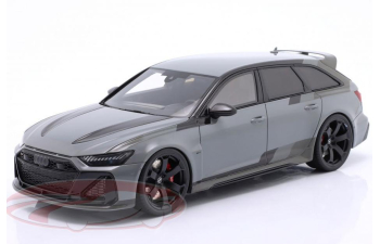 AUDI RS 6 GT (C8) (2024), nardo grey