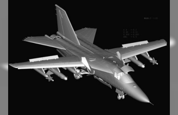 Сборная модель Самолет F-111D/E Aardvark