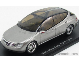 (Б/У) MERCEDES-BENZ F500 (2003), silver