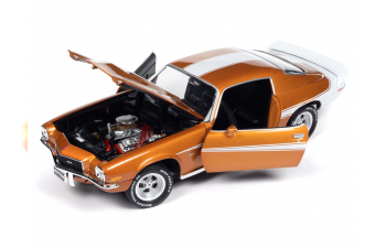 CHEVROLET Camaro Baldwin Motion (1973), brown metallic white