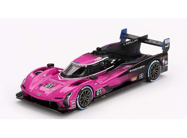Cadillac V-Series.R #01 Cadillac Racing Petit Le Mans, pink/black 2024