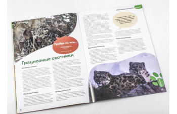 Дикие животные России № 12: Снежный барс