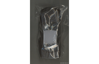 Сборная модель Nissan Skyline GT-R -R34 Custom Wheel (Athlete Silver)