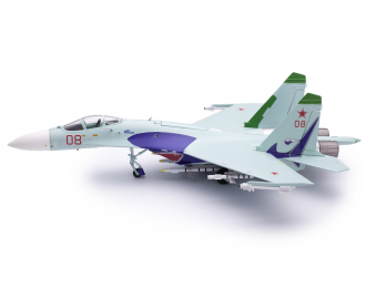 Sukhoi SU-27 Russian Air Force Lipetsk Shark