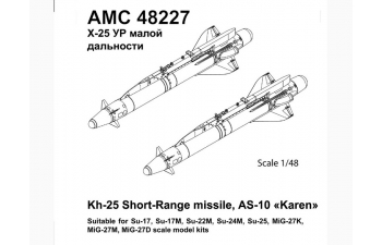Набор для доработки Советская / российская ракета класса воздух-поверхность Х-25 с пилоном АПУ-68УМ2 (karen-10) (2 шт.)