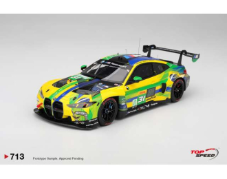 BMW M4 (G82) GT3 EVO #31 The Bend Team WRT WEC Sao Paulo 6 hrs, various 2025