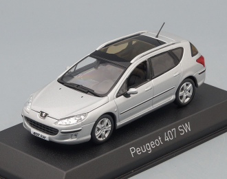 PEUGEOT 407 SW (универсал) 2004 Aluminium Silver