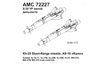 Набор для доработки Советская / российская ракета класса воздух-поверхность Х-25 с пилоном АПУ-68УМ2 (karen-10) (2 шт.)