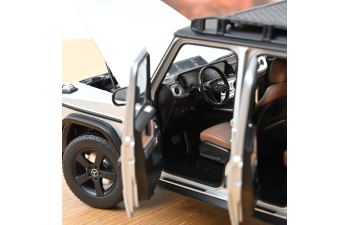 MERCEDES-BENZ G-Class G500 Professional Line 4x4 (W465) (2024), Iridium Silver