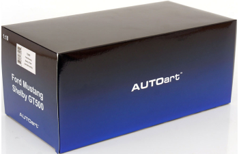 FORD Mustang Shelby GT 500, white black