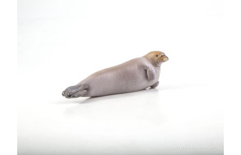 Дикие животные России № 28: Морской заяц (только вложение)