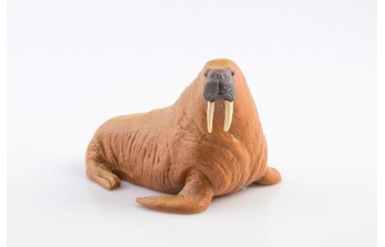 Дикие животные России № 21: Морж (только вложение)